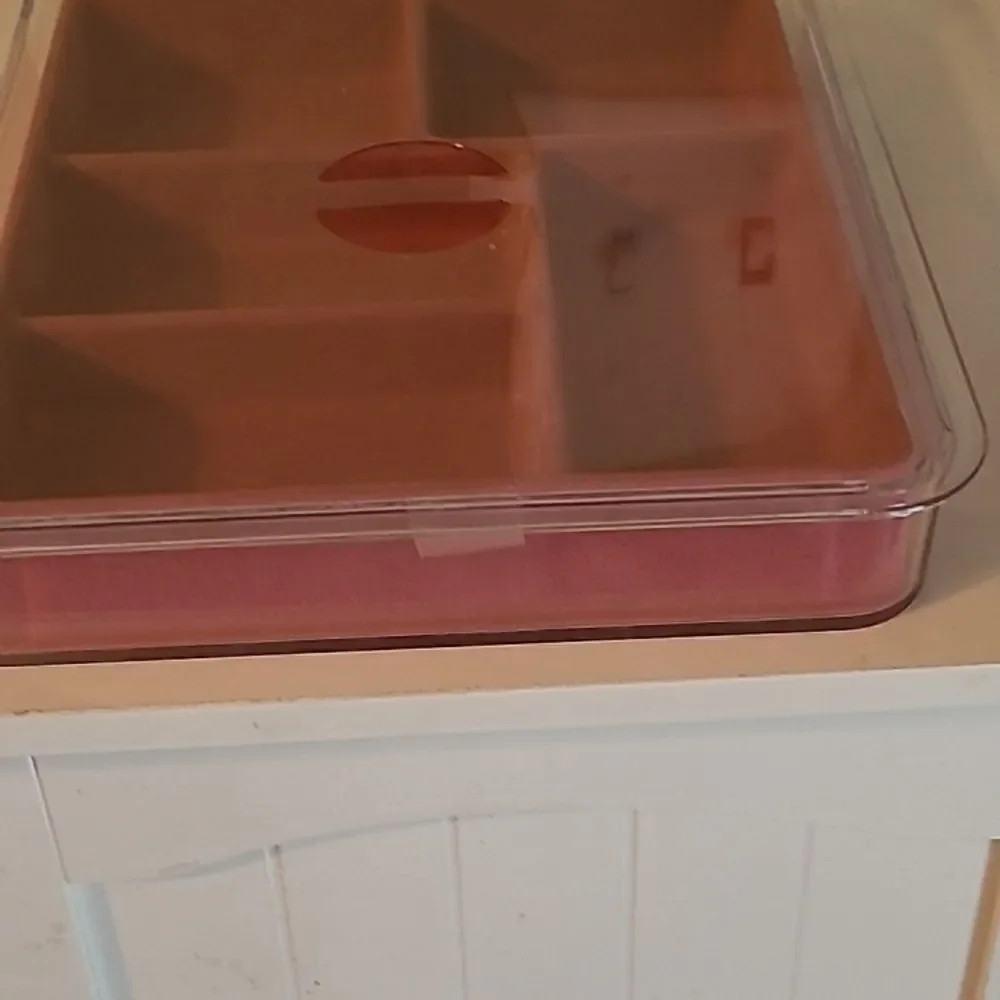 Clear and Pink Divided Storage Box